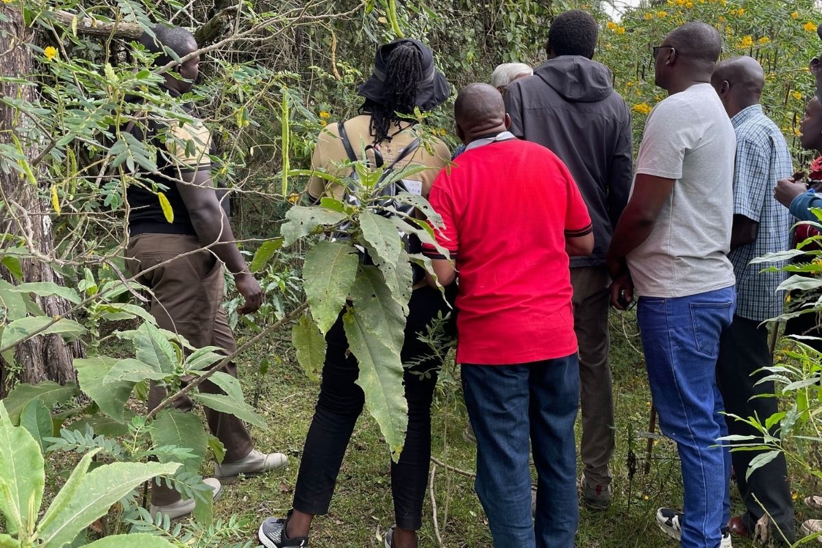 Excellence programmatique avec enfants